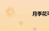 月季花可以吃吗