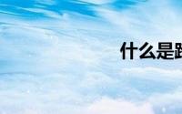 什么是跨境电商