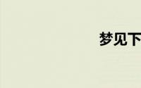 梦见下大暴雨