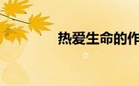 热爱生命的作文400字左右