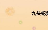 九头蛇美国队长