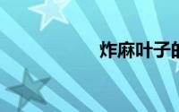 炸麻叶子的做法大全