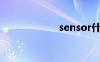 sensor什么意思啊