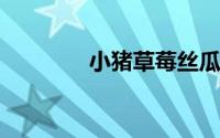 小猪草莓丝瓜深夜释放自己