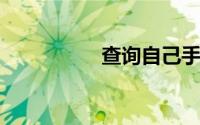 查询自己手机服务密码