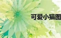 可爱小猫图片大全超萌