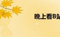 晚上看B站视频软件