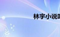 林宇小说叫什么名字