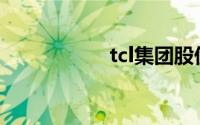 tcl集团股份有限公司