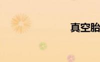 真空胎多少钱