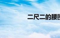 二尺二的腰围是多少厘米