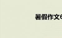 暑假作文600字大全