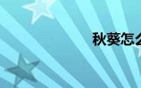 秋葵怎么吃最好