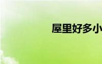 屋里好多小飞虫黑色的