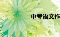 中考语文作文开头结尾