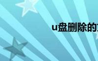 u盘删除的文件在哪里