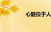 心脏位于人体哪个位置