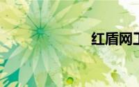 红盾网工商年检