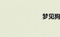 梦见狗追自己
