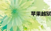苹果越狱什么意思