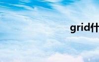 grid什么意思
