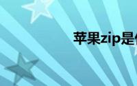 苹果zip是什么意思啊