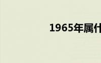 1965年属什么生肖属相