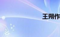 王朔作品大全