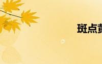 斑点黄尾鱼