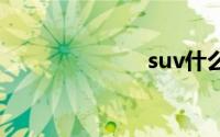suv什么意思啊