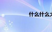 什么什么大什么成语