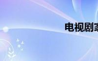电视剧家有喜妇