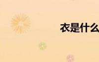 衣是什么结构的字