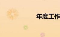 年度工作总结范文
