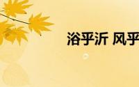 浴乎沂 风乎舞雩 咏而归