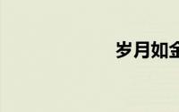 岁月如金 电视剧