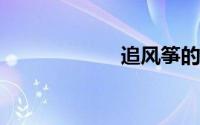 追风筝的人读后感