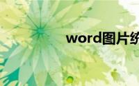 word图片统一调整大小