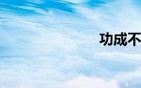 功成不必在我
