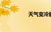 天气变冷的搞笑说说