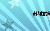苏轼的号是什么