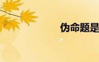伪命题是什么意思
