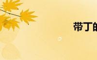 带丁的成语