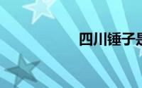 四川锤子是什么意思