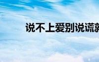 说不上爱别说谎就一点喜欢什么歌