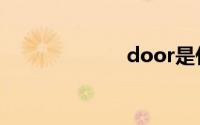 door是什么意思