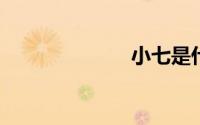 小七是什么身份