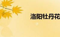 洛阳牡丹花什么时候开