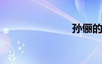孙俪的电视剧