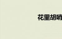 花里胡哨什么意思